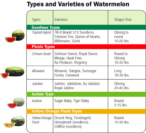 watermelon-chart-peltier-tech-blog