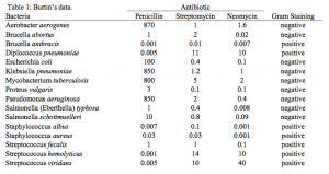 Antibiotic Effectiveness Data Table