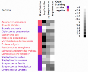 Xan Gregg's Antibiotic Effectiveness Heat Map