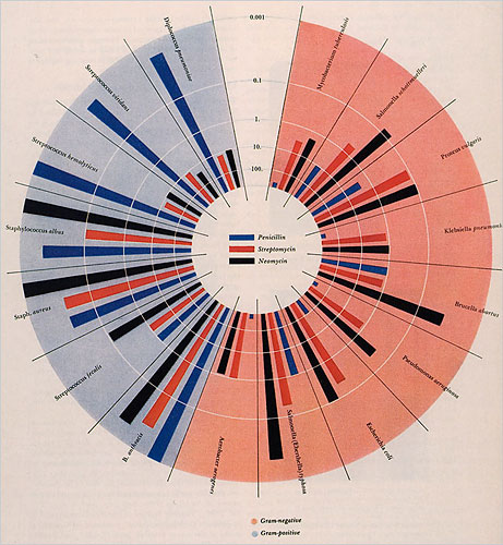 Will Burtin's Original Antibiotic Effectiveness Graphic