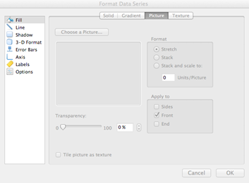 Format Data Series Dialog