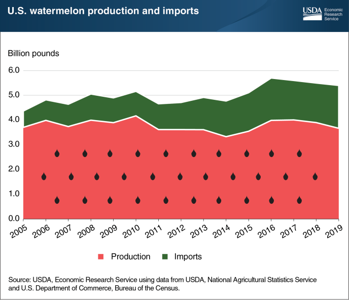 Watermelon Chart Peltier Tech   US Watermelon Production And Imports 33 